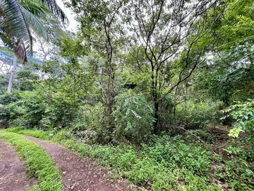Agricultural Land