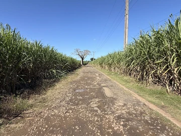 Agricultural Land