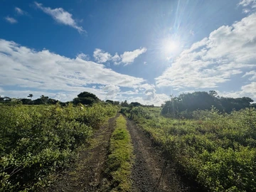 Land