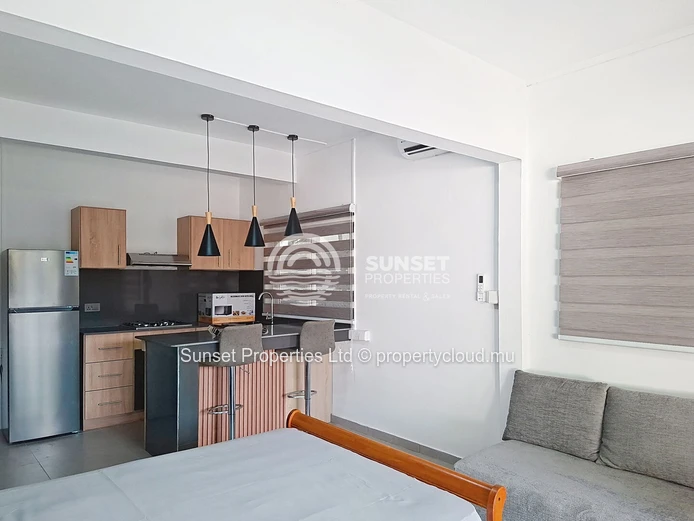 Renovated Studio | Quiet Residential Neighborhood