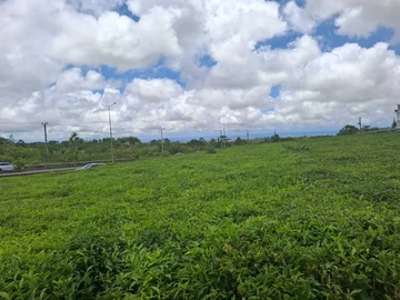 Commercial Land