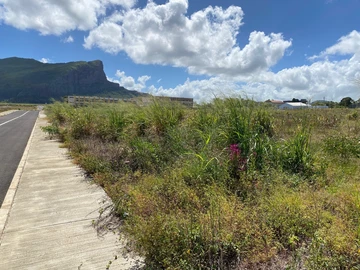 Commercial Land