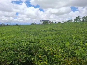 Commercial Land