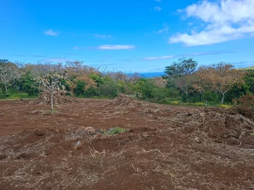 Agricultural Land