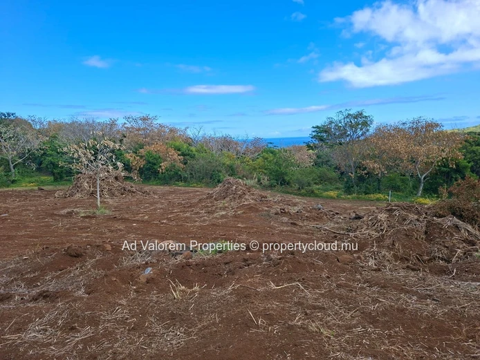 Terrain Agricole avec Vue Mer à Vendre – Fleur de Canne, Baie du Cap