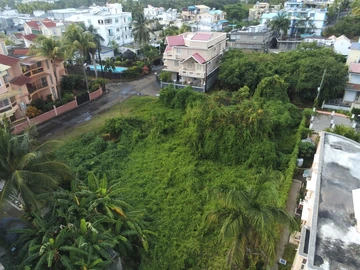 Terrain