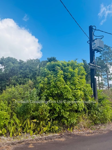 Prime Residential Plot in Morcellement - Les Résidences Pinewood Garden, Wooton