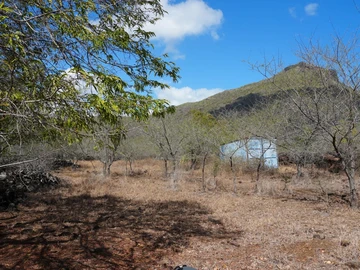 Terrain
