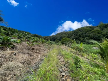 Terrain Agricole
