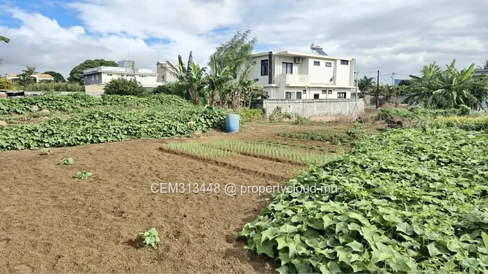 11.75 Perches Residential Land for Sale – Carreau Laliane, Phoenix