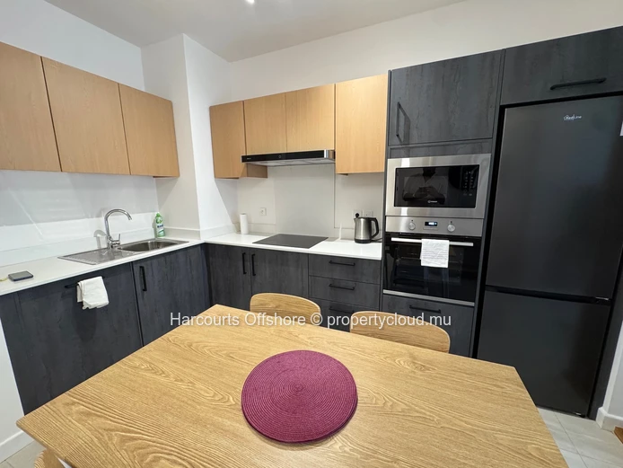 Brand-New Fully Furnished 2-Bedroom Apartment for Rent in Indigo Apartments