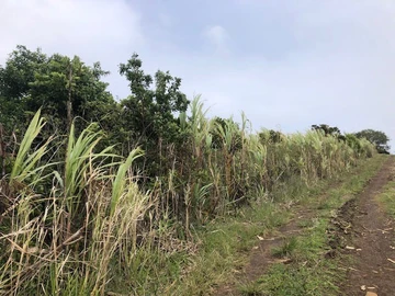Terrain Agricole