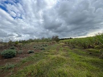 Terrain Agricole