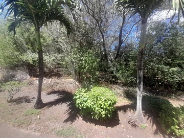 Residential Land