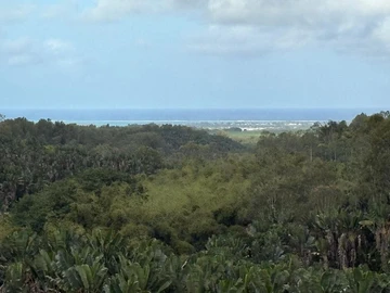 Terrain Agricole