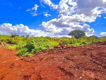 Commercial Land