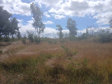 Residential Land