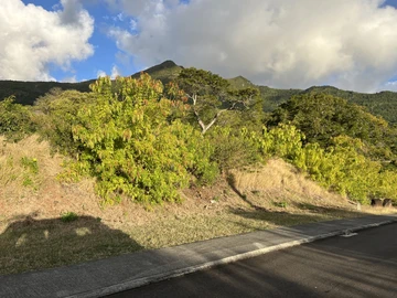 Residential Land