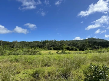 Residential Land