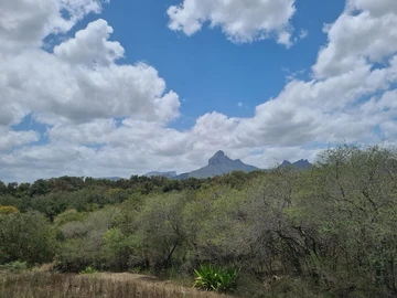 Residential Land