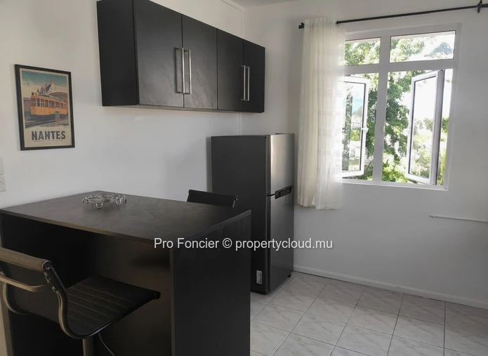 Apartment for rent in Sodnac - Recently Renovated 