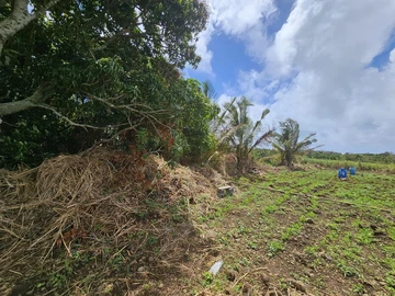 Agricultural Land