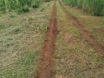 Agricultural Land
