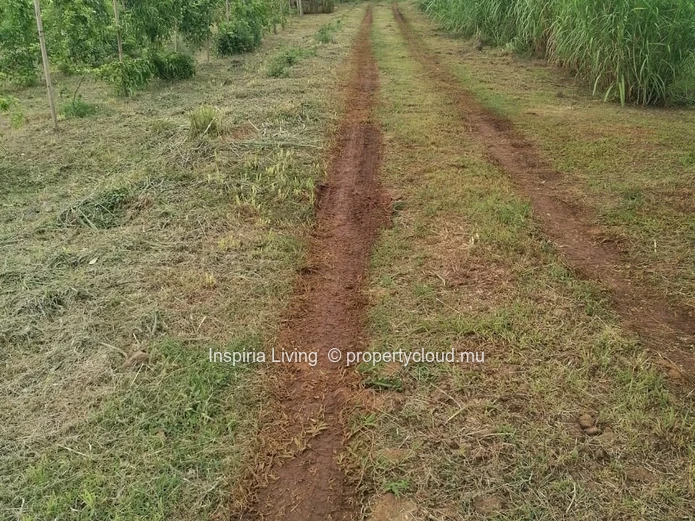 Farm for sale in Chamouny — Sea & Mountain Views