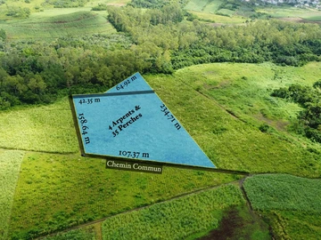 For Sale – Agricultural land 18,354.97 m² – Riche Fond, Flacq