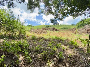 Terrain