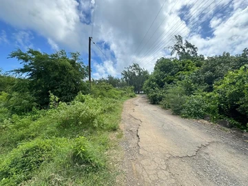Agricultural Land
