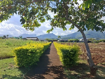 Residential Land