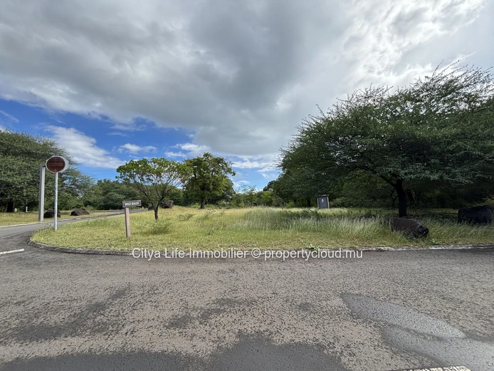 Terrain à vendre — Black River | Domaine de Palmyre | 2183 m² |Rs