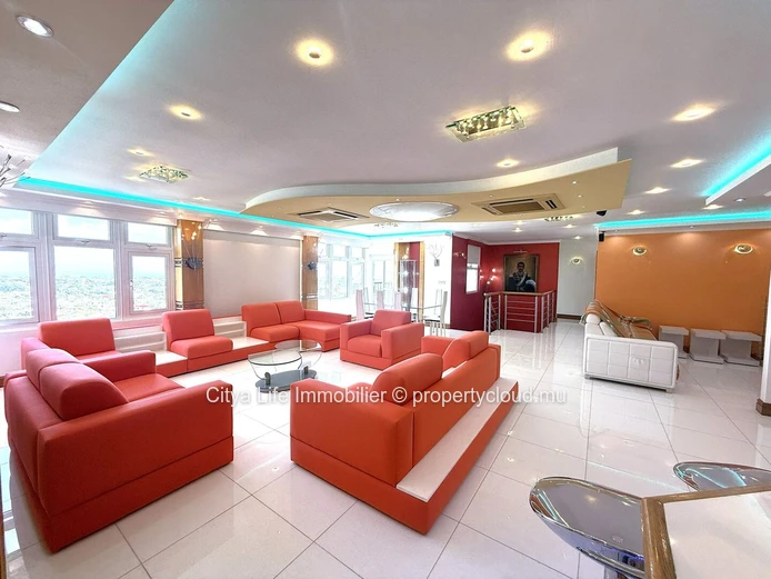 Ce spacieux et luxueux penthouse est désormais disponible à la vente !
