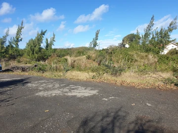 Terrain Résidentiel