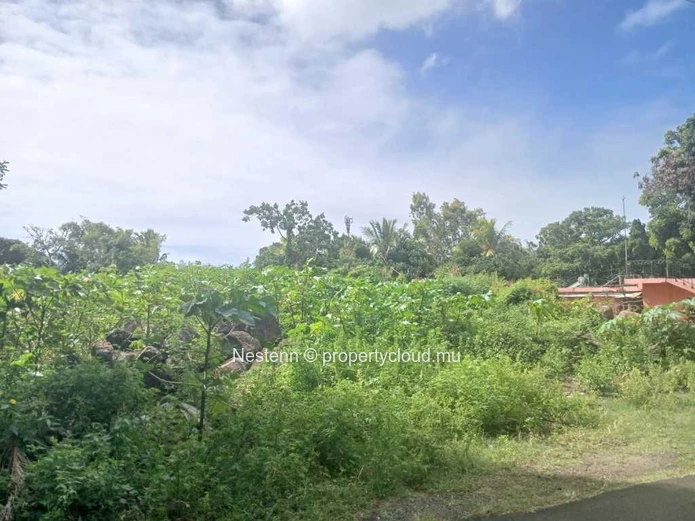 Grand terrain de 1266,26 m²