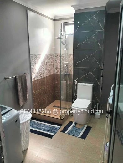Charming 1-Bedroom Apartment with a Roof Top Terrace for Rent in Moka