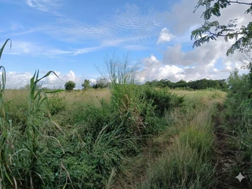 Terrain Agricole