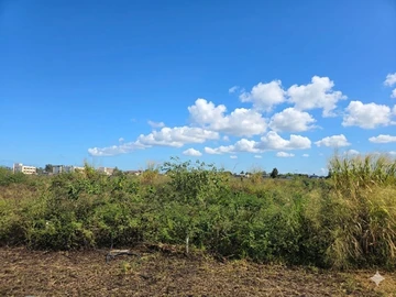Residential Land