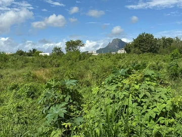 Terrain Commercial