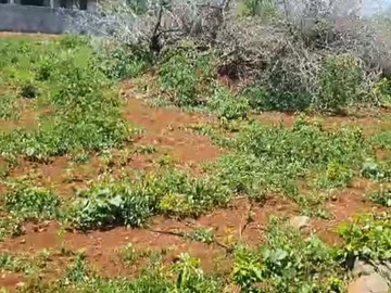 Residential Land