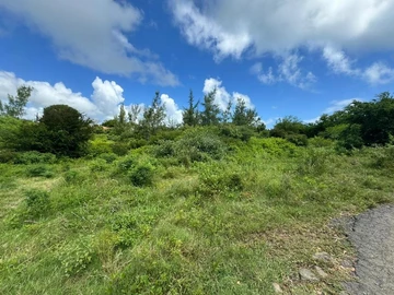Agricultural Land