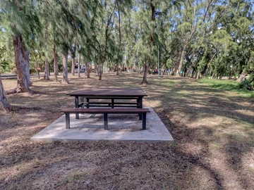 Commercial Land