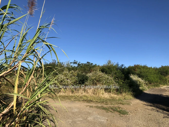 Terrain agricole de 7,652m2 à Calodyne