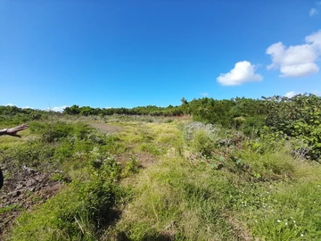 Residential Land