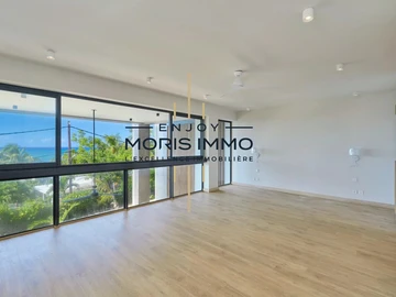 4 Bedroom Apartment