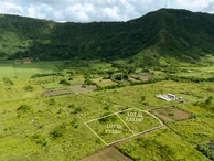 Agricultural Land