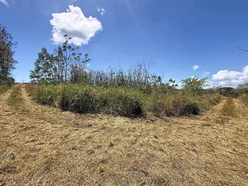 Terrain