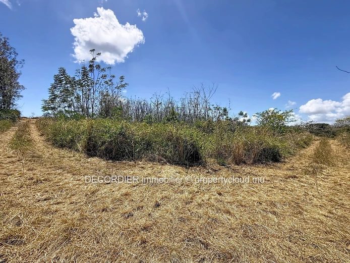 For Sale – Agricultural Land in Grand Baie, La Salette