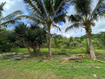 Terrain